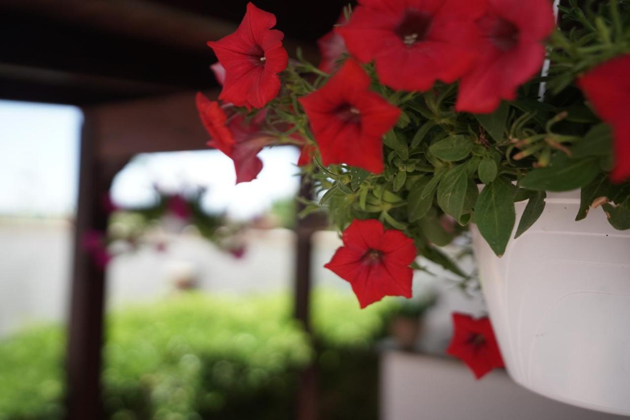 Salento Terra Maris Bed & Breakfast Cocumola Luaran gambar